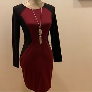 Banana Republic Long Sleeve Sheath Dress NWT
